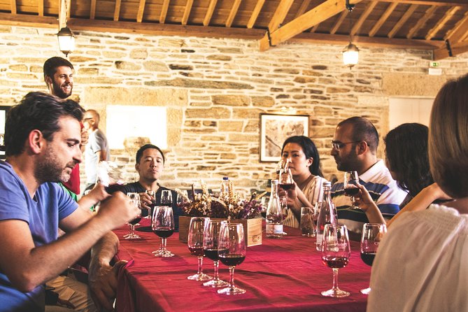 Complete Douro Valley Wine Tour with Lunch, Wine Tastings and River Cruise - Sabrosa begins the wine story