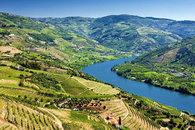 Complete Douro Valley Wine Tour with Lunch, Wine Tastings and River Cruise - The road to Pinhão is part of the attraction