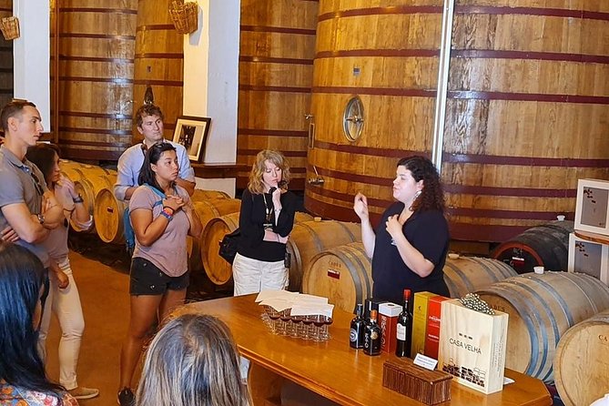 Complete Douro Valley Wine Tour with Lunch, Wine Tastings and River Cruise - A 50-minute cruise from Pinhão