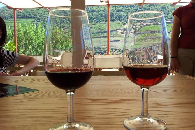 Complete Douro Valley Wine Tour with Lunch, Wine Tastings and River Cruise - Is $101.76 a good price?