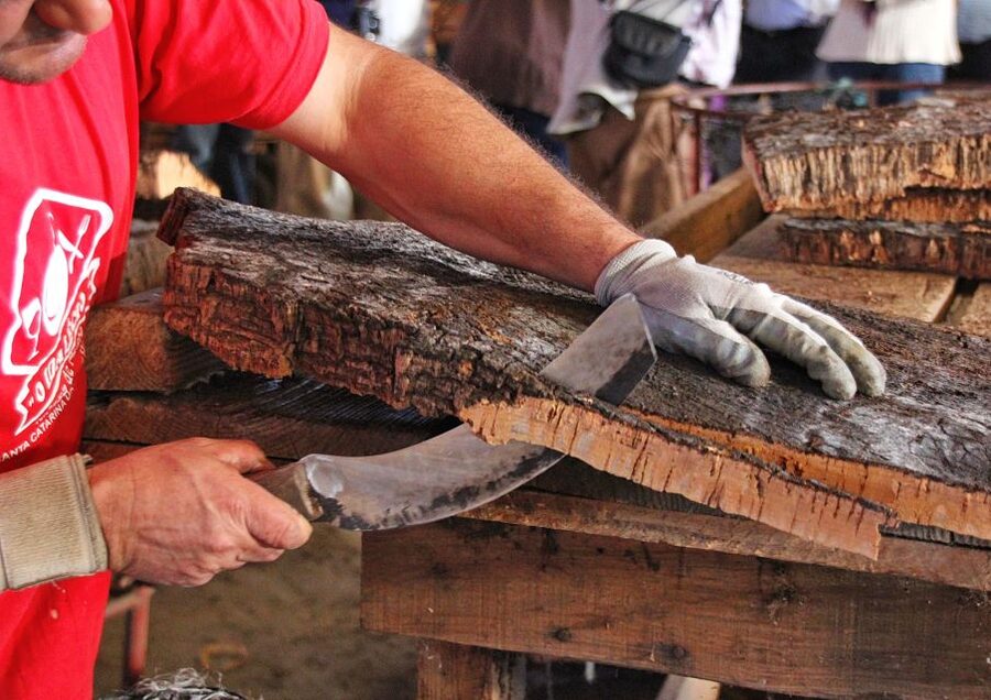 Cork Factory Tour - Why cork makes a good Algarve stop