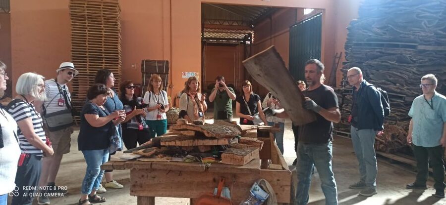 Cork Factory Tour - Inside the Eco-Cork Factory