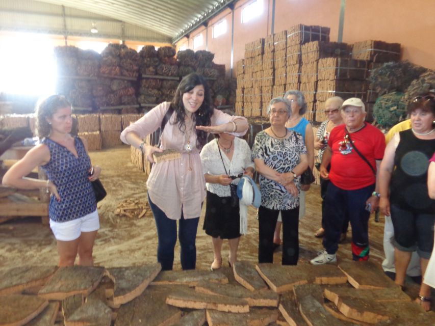 Cork Factory Tour - Accessibility, languages, and booking flexibility