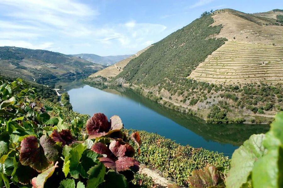 Day Cruise from Porto to Pinhão with Breakfast and Lunch - Crestuma-Lever and the first major lock