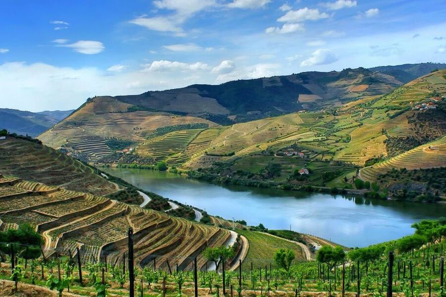 Day Cruise from Porto to Pinhão with Breakfast and Lunch - Returning to Porto by bus