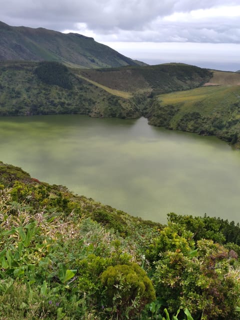 Discover Flores – Full-Day Tour | Island of Your Dreams - The western coast, Rocha dos Bordões, and quiet roads