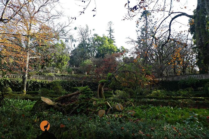 Discovering the charms and places of Coimbra - What the private format changes
