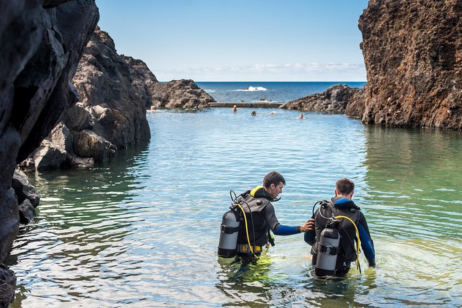 Diving in the Madeira Aquarium - The natural pools provide a calmer first step