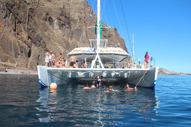 Dolphin and Whale Watching Catamaran Cruise from Funchal - The value of $48.27