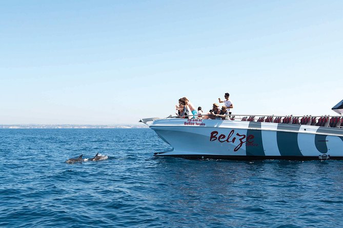 Dolphin Watching and Cave Boat Cruise from Albufeira - Dolphins First, Caves Second