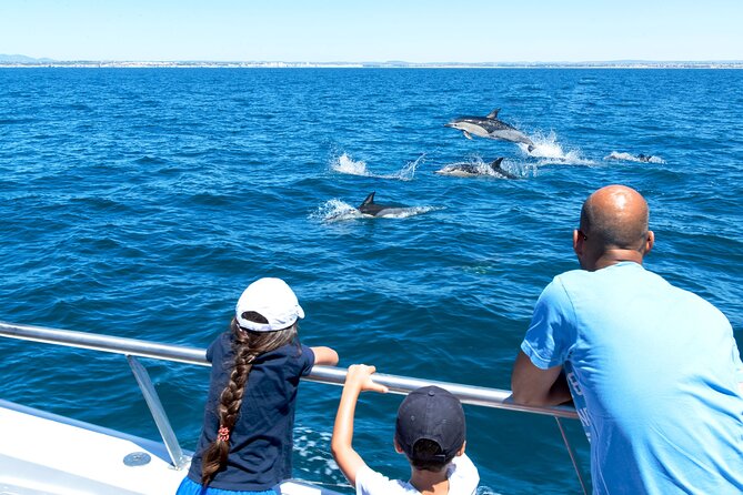Dolphin Watching and Cave Boat Cruise from Albufeira - Albufeira Marina and the 62-Person Boat