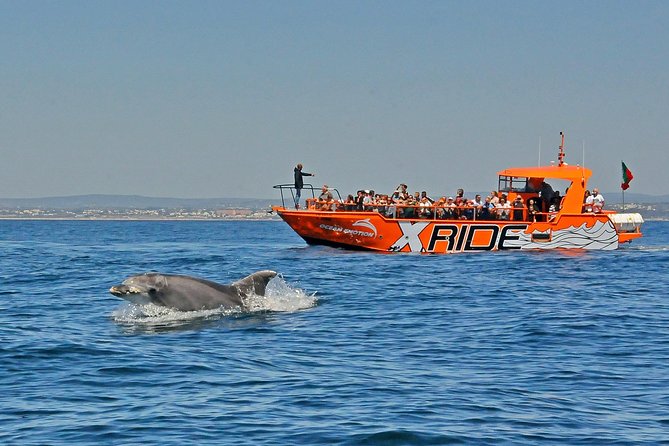 Dolphin Watching and Caves Cruise - Following the Algarve coast toward Benagil
