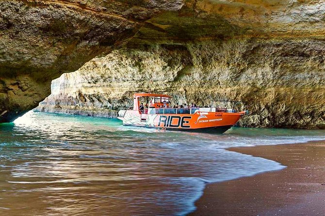 Dolphin Watching and Caves Cruise - How the crew shapes the experience