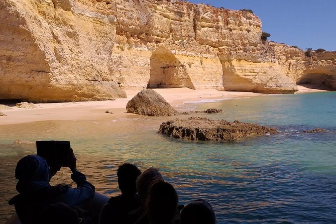 Dolphins Search and Benagil Caves from Albufeira - Who should book this coastal adventure?