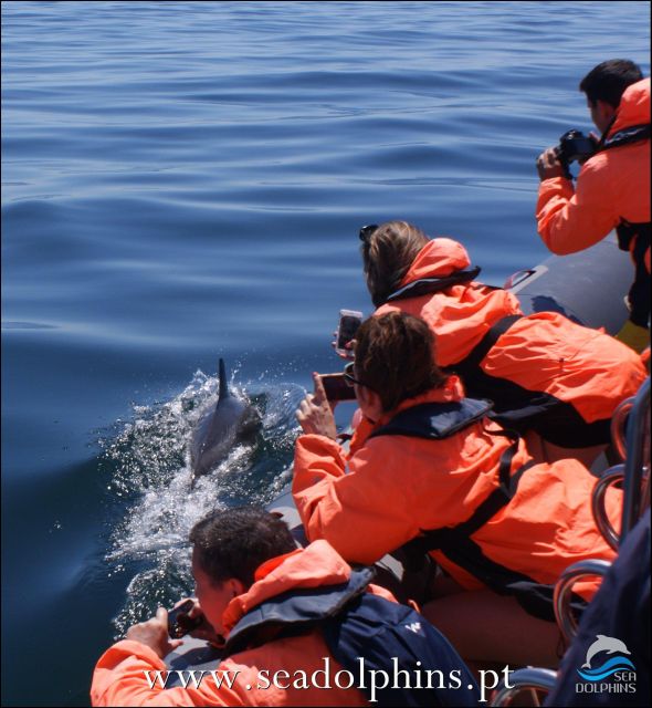 Dolphins Watching - Portimão - The long-tail boat ride into the Atlantic