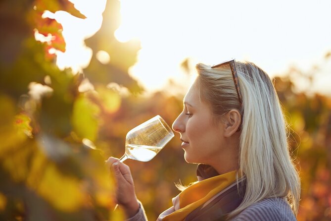 Douro Valley: Historical Sites, Wine Experience, Lunch & Cruise - The winery visit favors depth over collecting stops