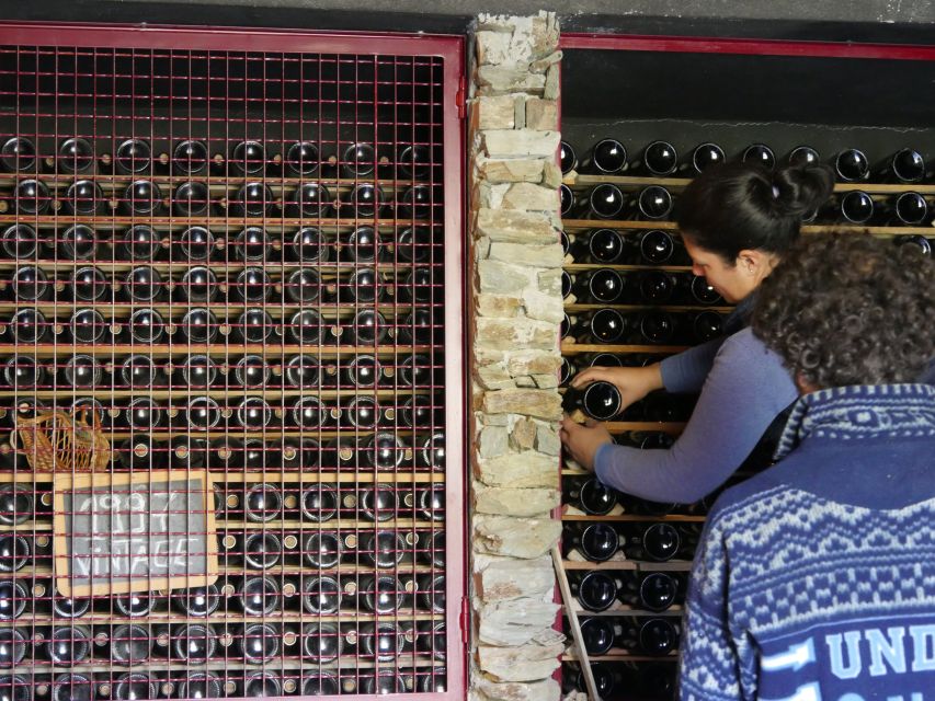Douro Valley: Premium Port Tasting Winery Tour & River Views - Why this short Douro visit works so well