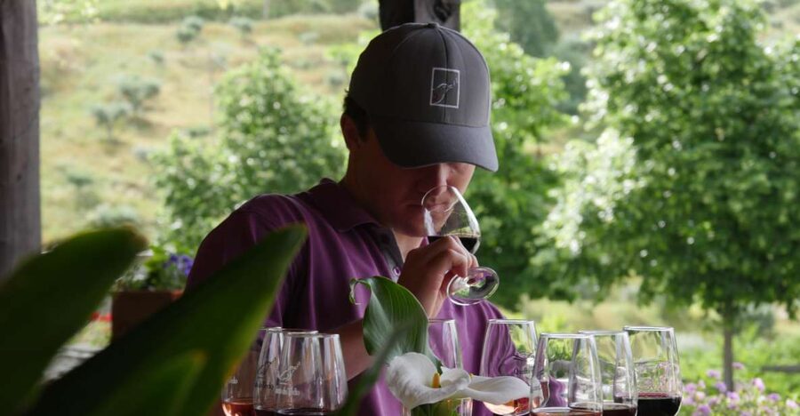 Douro Valley: Premium Port Tasting Winery Tour & River Views - Inside the 18th-century cellars