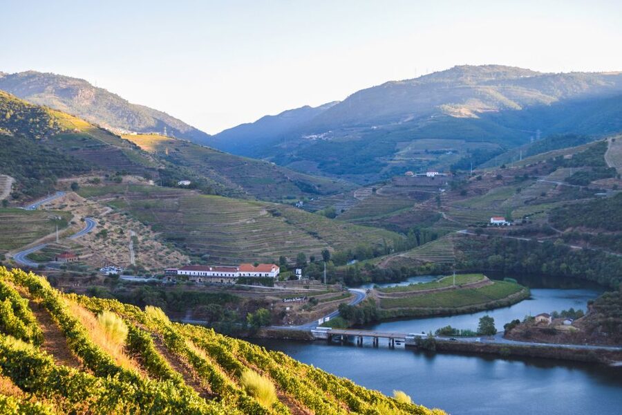 Douro Valley: Quinta do Tedo Wine Experience with Picnic - A calm start in the winery and cellars