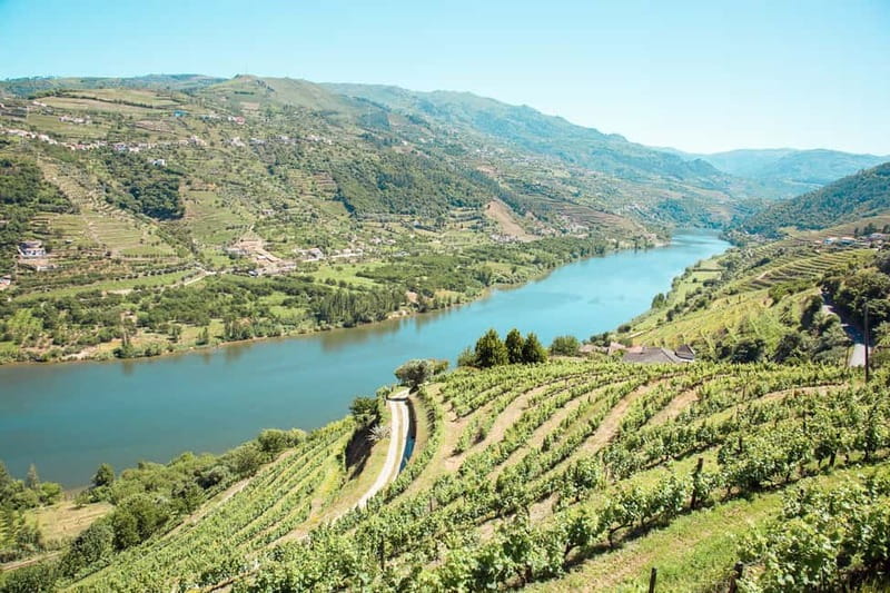 Douro Valley: Real Small-Group, Wine Tasting, Lunch & Boat - Why this Douro Valley tour works so well