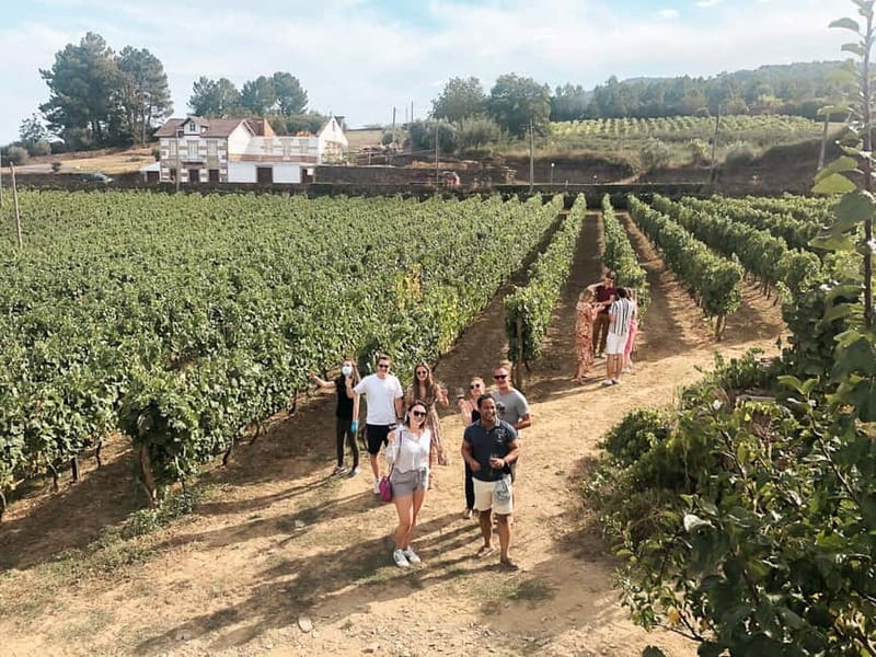 Douro Valley: Real Small-Group, Wine Tasting, Lunch & Boat - First stop: Port wine and Portuguese cheese