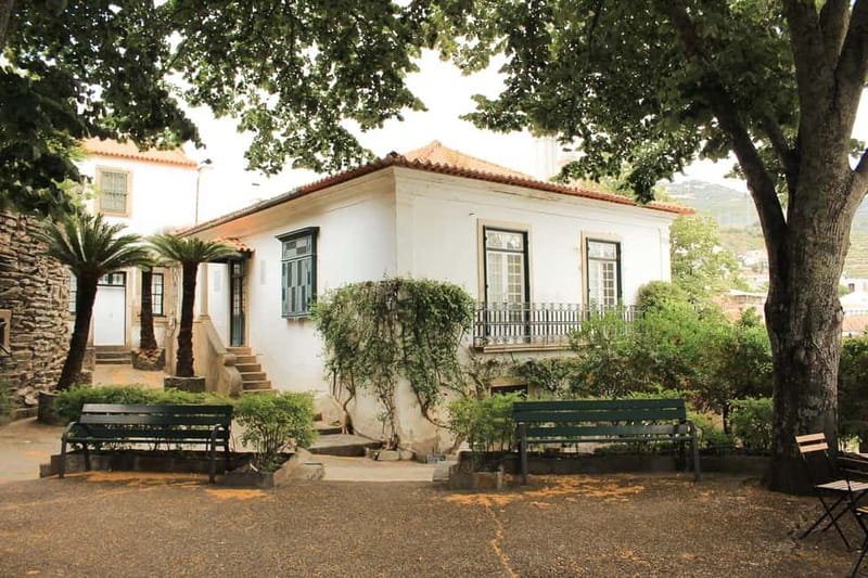 Douro Valley: Real Small-Group, Wine Tasting, Lunch & Boat - The return drive and overall pace