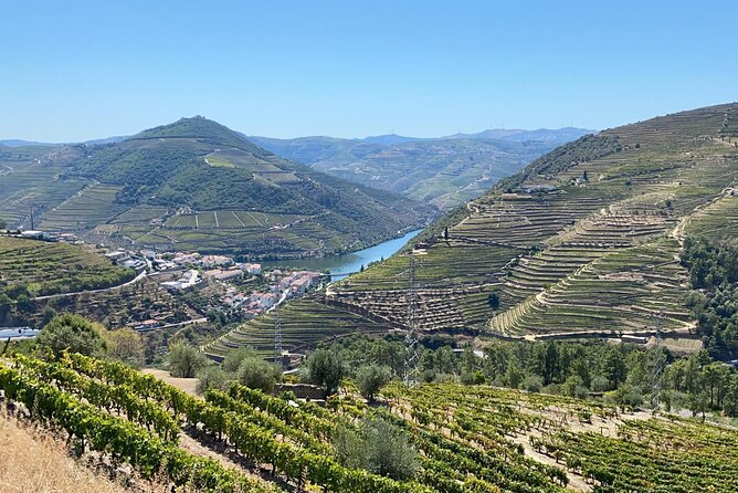 Douro Valley Tour - 3 Wine tastings, Lunch & river Cruise - Sabrosa brings the day to the family winery table