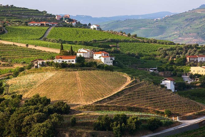 Douro Valley Tour: Wine Tasting, Cruise and Lunch from Porto - Santa Marta de Penaguião and a second tasting