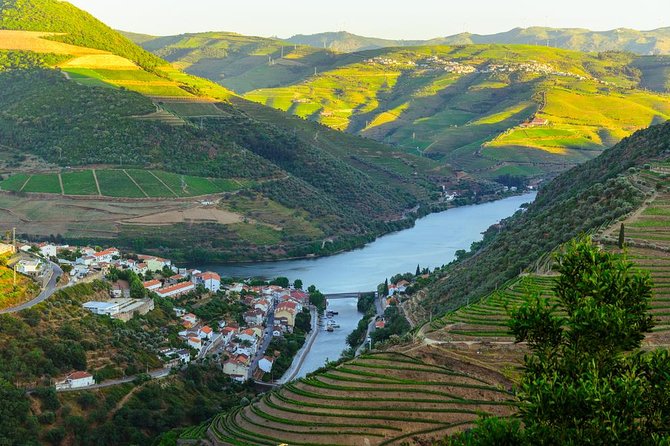 Douro Valley Tour: Wine Tasting, Cruise and Lunch from Porto - A one-hour cruise on the Douro