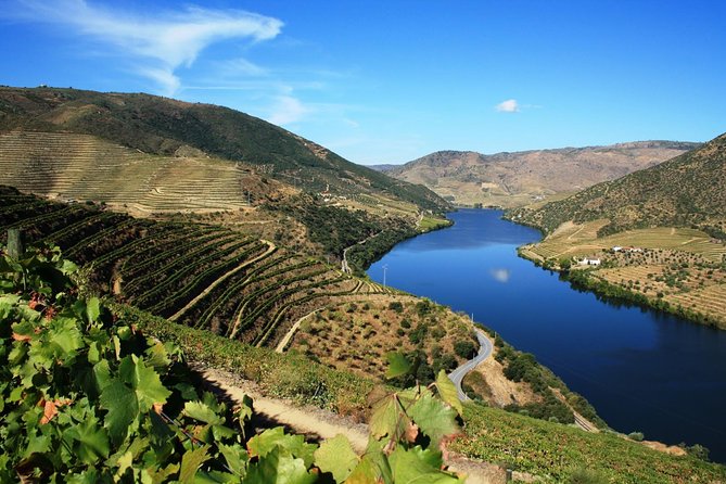 Douro Valley Wine Tour: 3 Vineyard Visits, Wine Tastings, Lunch - First stop: family wine in Lamego