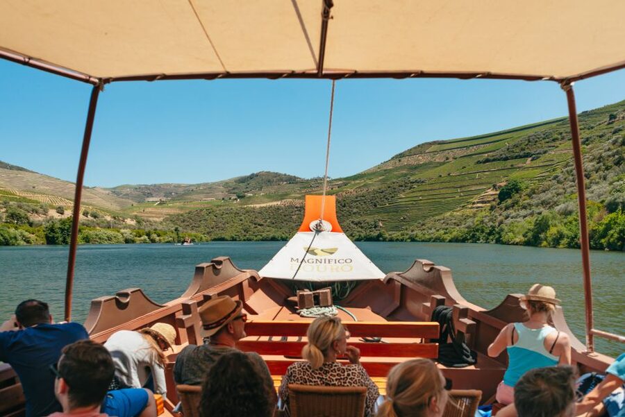 Douro Valley: Wine Tour with Lunch, Tastings & River Cruise - Who should book this day