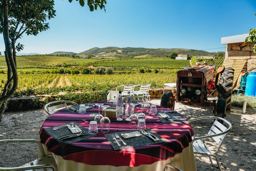 Douro Valley: Wine Tour with Lunch, Tastings & River Cruise - The second estate and the Port wine lesson
