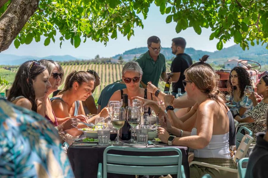 Douro Valley: Wine Tour with Lunch, Tastings & River Cruise - What the $113 price really covers