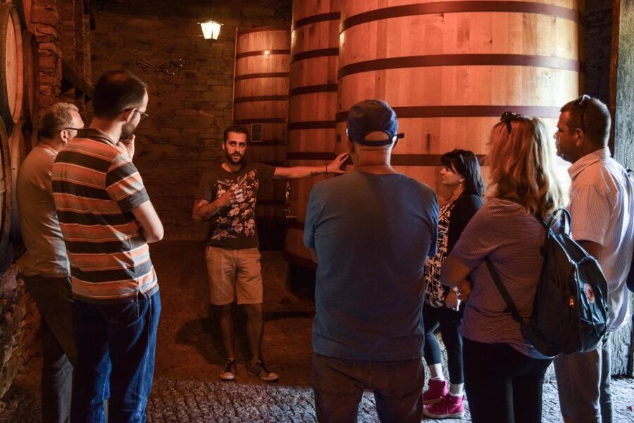 Douro Valley: Winery Tour at Quinta do Tedo and Tastings - Tasting Porto and red wines beside the Douro