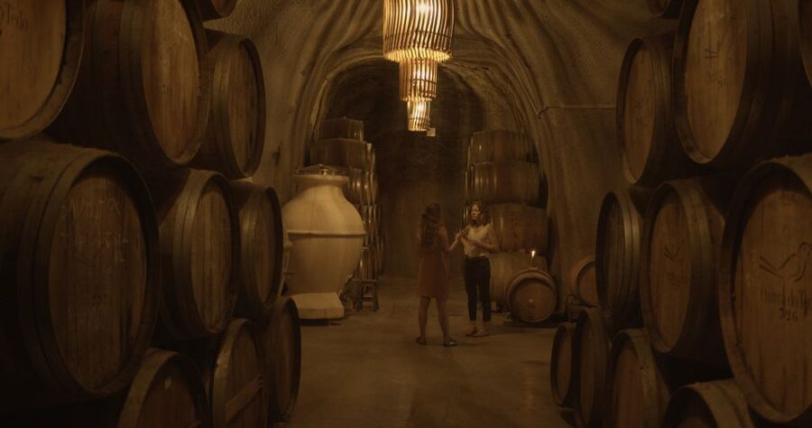 Douro Valley: Winery Tour at Quinta do Tedo and Tastings - The five-minute shopping stop