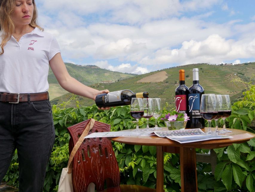 Douro Valley: Winery Tour at Quinta do Tedo and Tastings - Is $42 a fair price?