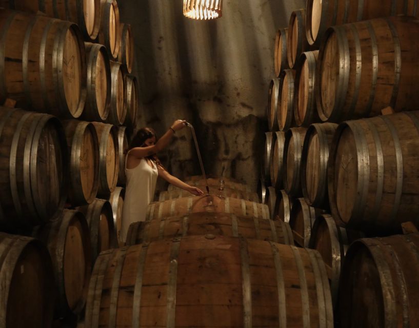 Douro Valley: Winery Tour at Quinta do Tedo and Tastings - Who will enjoy Quinta do Tedo most?
