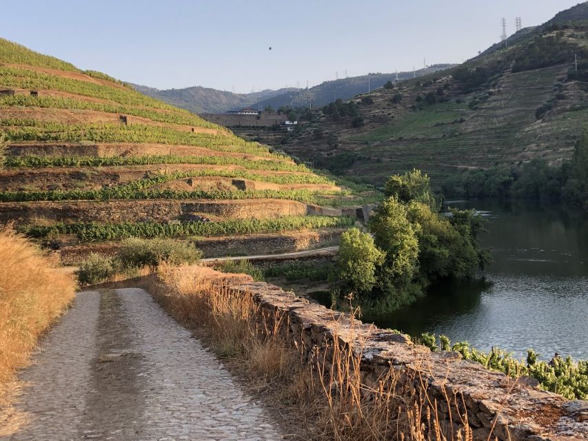 Douro Valley: Winery Tour at Quinta do Tedo and Tastings - Tips for making the most of the visit
