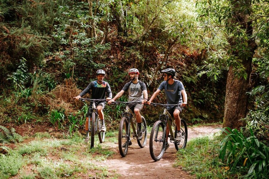 E-Bike Guided Tour - Mountain biking experience - Key points before you book