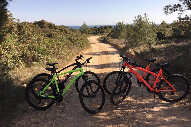 E-Bike Tour: Sete Vales Suspensos Trail (Marinha and Benagil) - Bosch e-bikes and a pace that fits the group