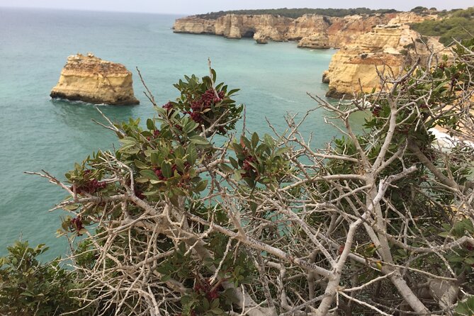 E-Bike Tour: Sete Vales Suspensos Trail (Marinha and Benagil) - What the two-hour timing really means