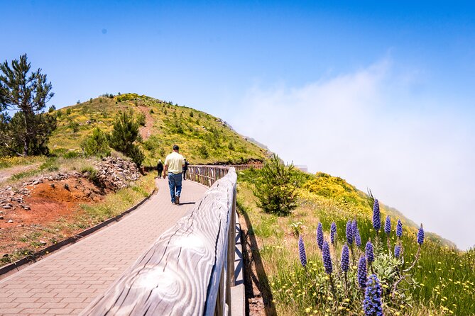 East of Madeira | Full Day 4x4 Tour - Santana and the old A-frame houses