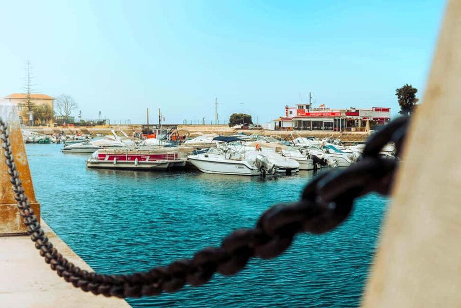 Eastern Portugal: Day Trip to Faro, Olhão, Tavira, & more - Guides, languages, and the pace of the day