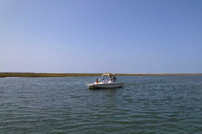 Eco Boat Tour in the Ria Formosa Lagoon from Faro - Why a quiet boat changes the Ria Formosa experience