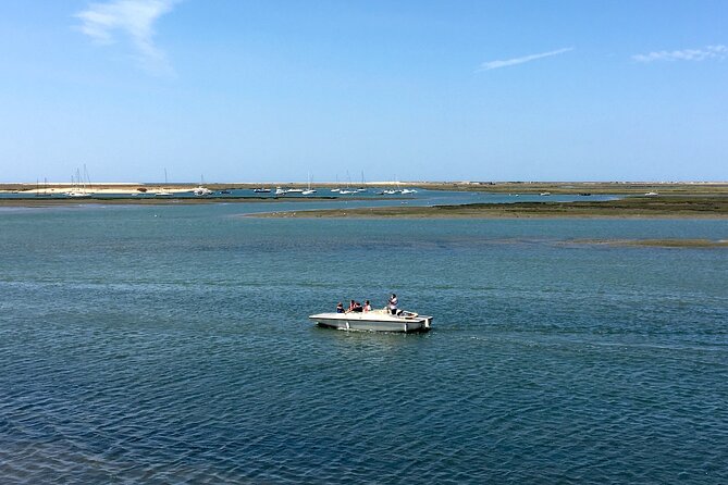 Eco Boat Tour in the Ria Formosa Lagoon from Faro - Birdwatching without making promises