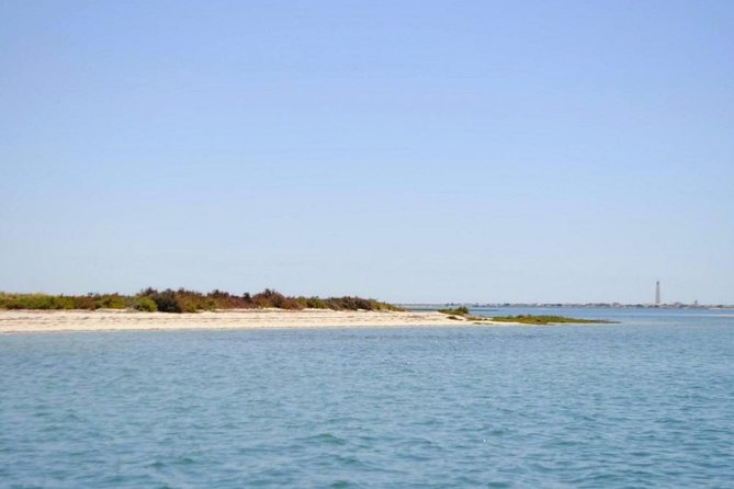 Eco Boat Tour in the Ria Formosa Lagoon from Faro - The guides make the short route worthwhile