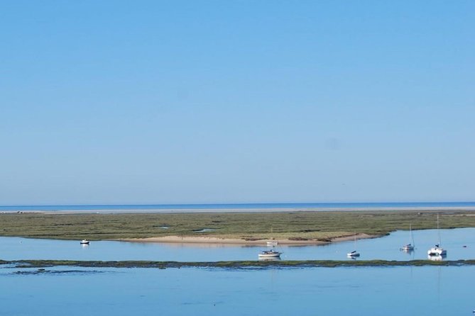 Eco Boat Tour in the Ria Formosa Lagoon from Faro - Timing, group size, and family details