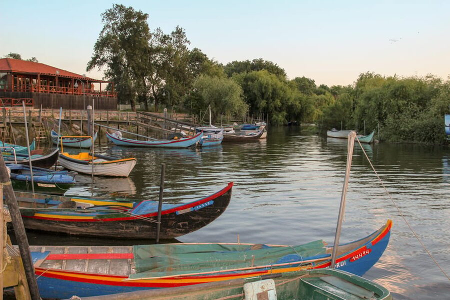 Escaroupim: 1 hour boat trip, guided tour - Key points to know before you go