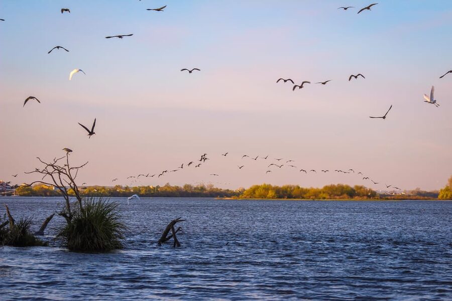 Escaroupim: 1 hour boat trip, guided tour - The first stretch of river