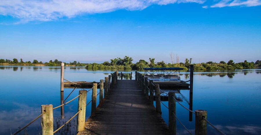 Escaroupim: 1 hour boat trip, guided tour - Watching horses, birds, and fish